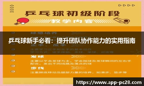 乒乓球新手必看：提升团队协作能力的实用指南